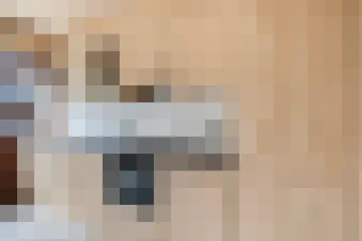 Gerben Colmjonwei 33 Leeuwarden thumbnail 22