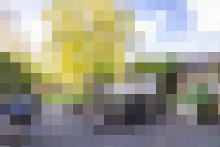 Gerben Colmjonwei 44 Leeuwarden thumbnail 31