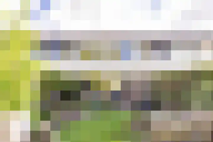 Gerben Colmjonwei 44 Leeuwarden thumbnail 36