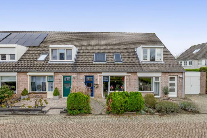 Gerbera 17 in Dirksland foto