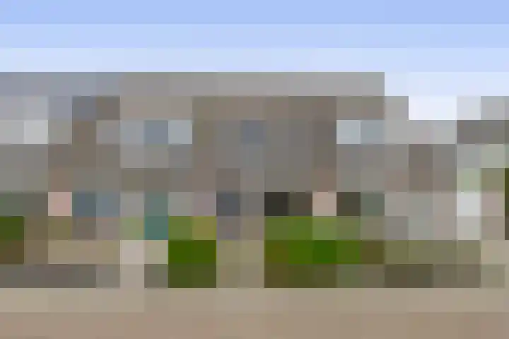 Gerbera 17 in Dirksland