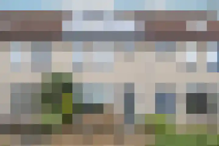 Gerbera 4 in Dirksland