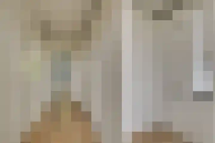 Gerberalaan 113 Naaldwijk thumbnail 18