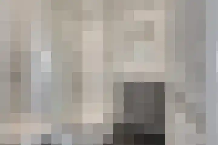Gerberalaan 113 Naaldwijk thumbnail 20