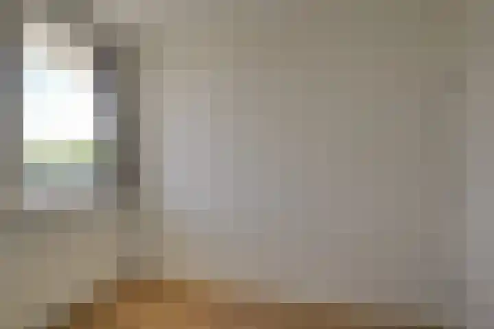 Gerberalaan 113 Naaldwijk thumbnail 23