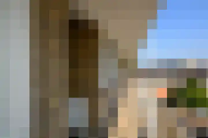 Gerberalaan 113 Naaldwijk thumbnail 27