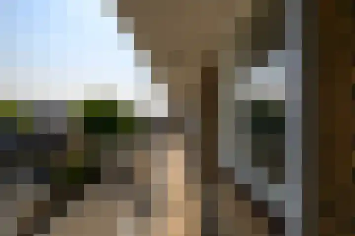 Gerberalaan 113 Naaldwijk thumbnail 28