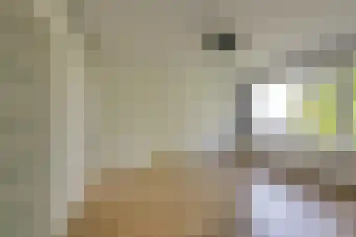 Gerberalaan 113 Naaldwijk thumbnail 4
