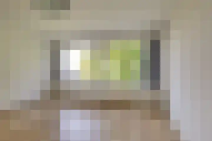 Gerberalaan 113 Naaldwijk thumbnail 5