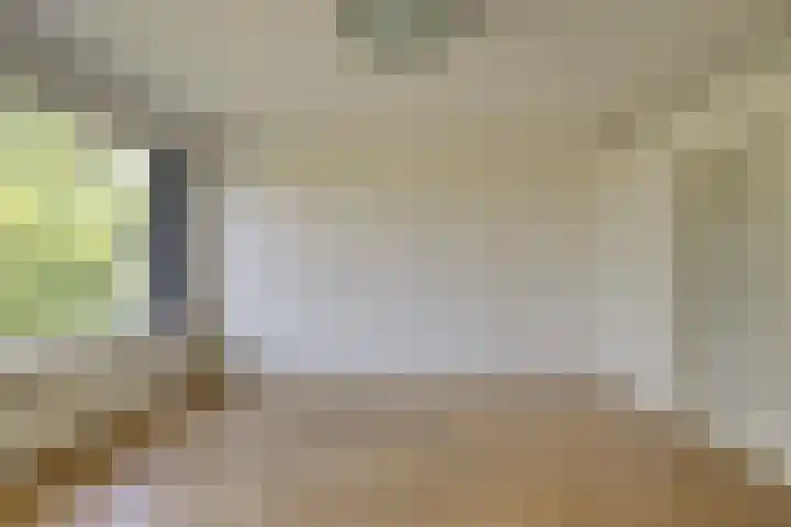 Gerberalaan 113 Naaldwijk thumbnail 6
