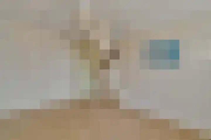 Gerberalaan 44 Naaldwijk thumbnail 23