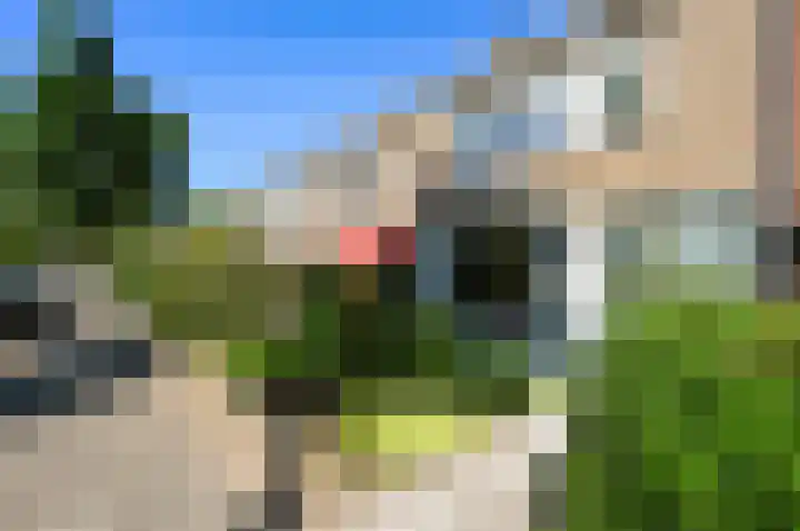 Gerberalaan 44 Naaldwijk thumbnail 35