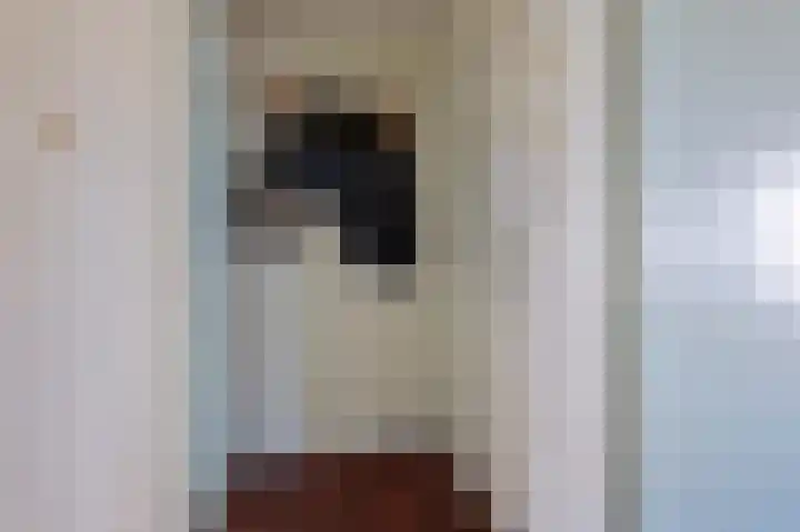 Gerberalaan 44 Naaldwijk thumbnail 37