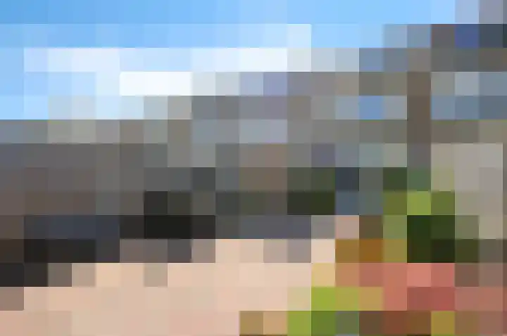 Gerberalaan 44 Naaldwijk thumbnail 6