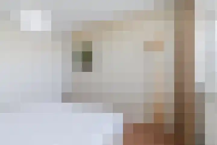 Gerberalaan 46 Naaldwijk thumbnail 15