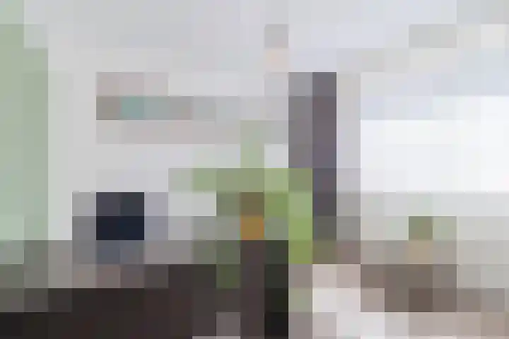 Gerberalaan 46 Naaldwijk thumbnail 16