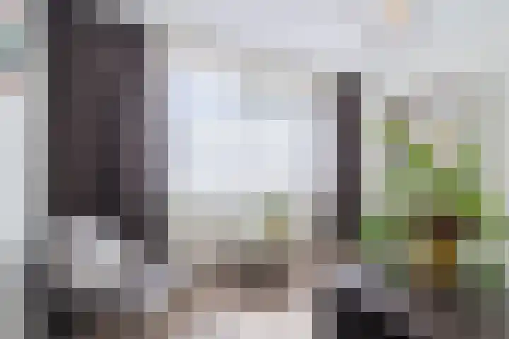 Gerberalaan 46 Naaldwijk thumbnail 17