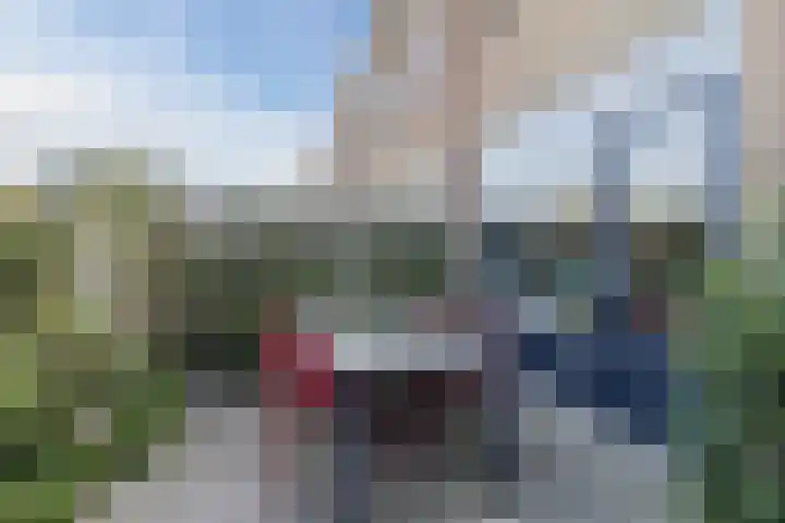 Gerberalaan 46 Naaldwijk thumbnail 28