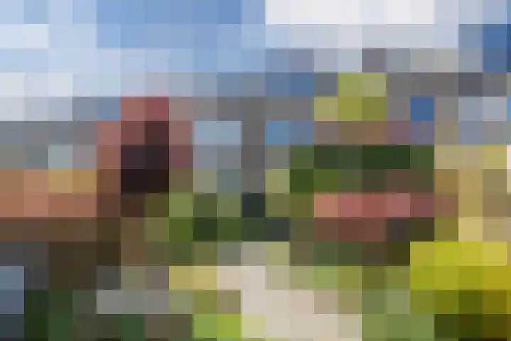 Gerberalaan 46 Naaldwijk thumbnail 31