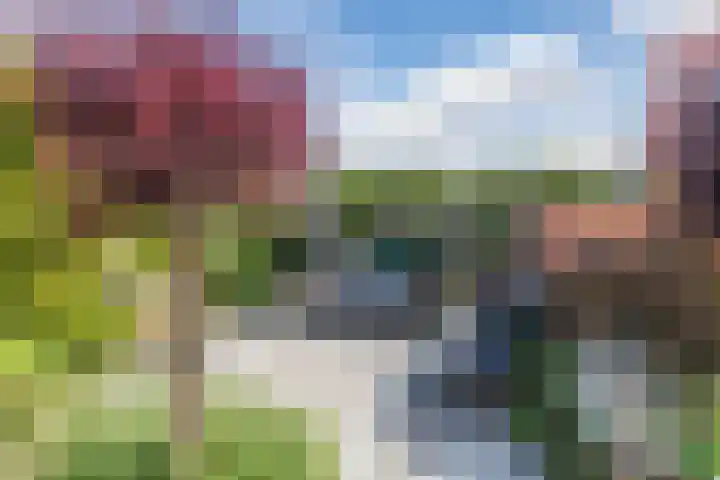 Gerberalaan 46 Naaldwijk thumbnail 32