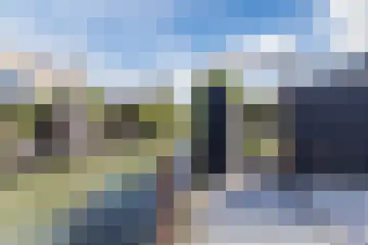 Gerberalaan 46 Naaldwijk thumbnail 34