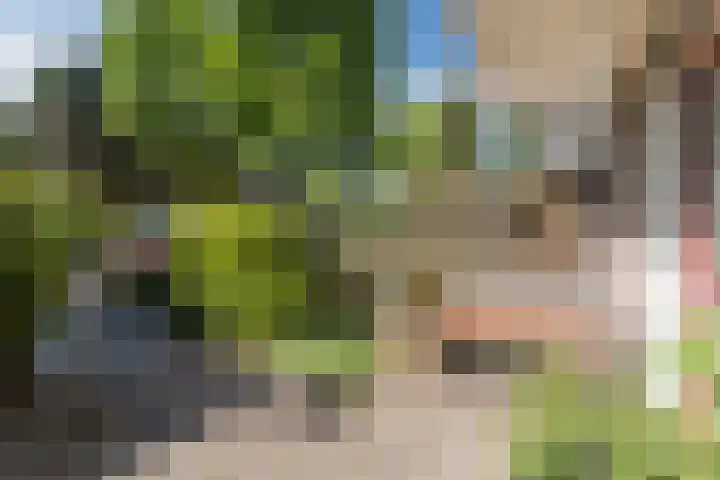 Gerberalaan 46 Naaldwijk thumbnail 4