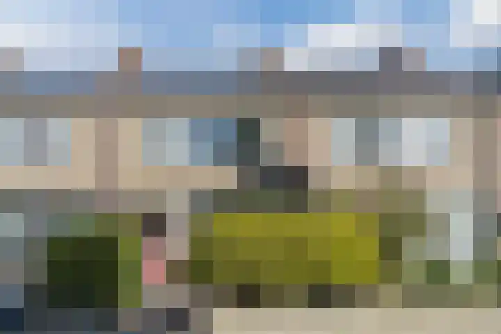 Gerberalaan 46 Naaldwijk thumbnail 40