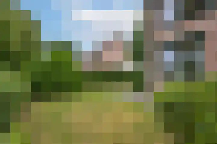 Gerestein 5 Tiel thumbnail 12