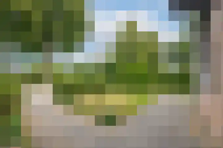 Gerestein 5 Tiel thumbnail 13