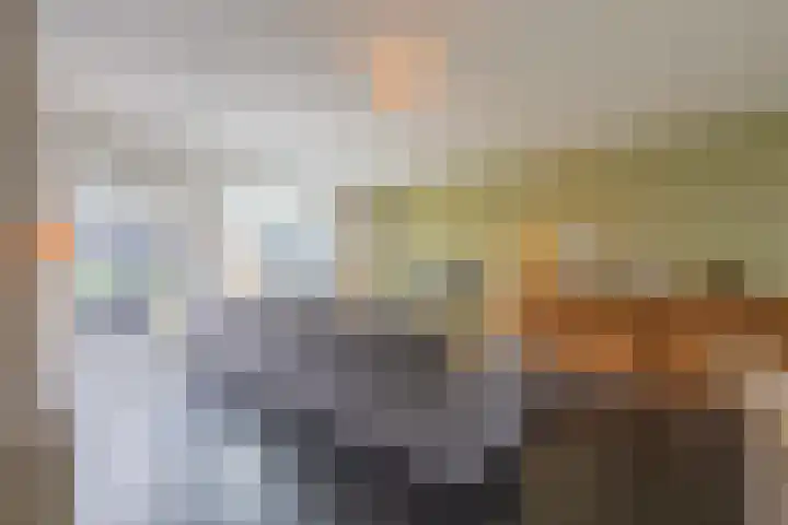 Gerestein 5 Tiel thumbnail 33