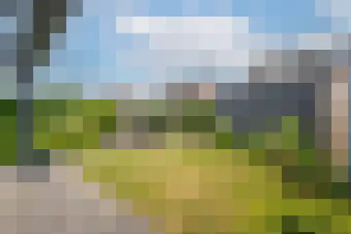 Gerestein 5 Tiel thumbnail 35