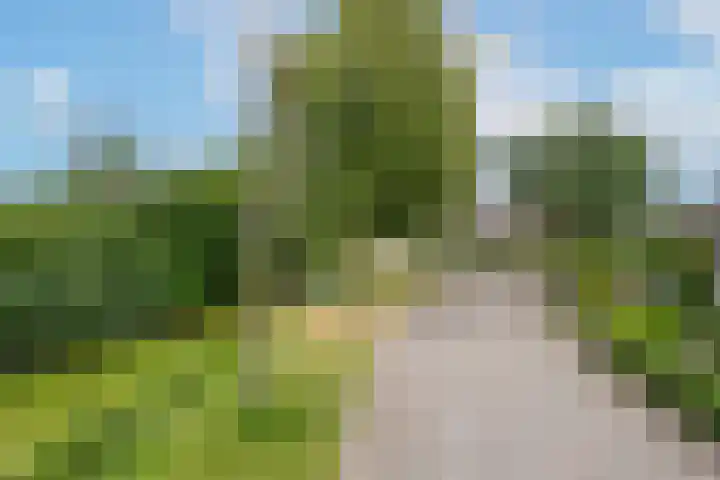 Gerestein 5 Tiel thumbnail 4
