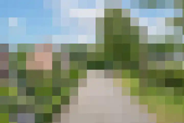Gerestein 5 Tiel thumbnail 6
