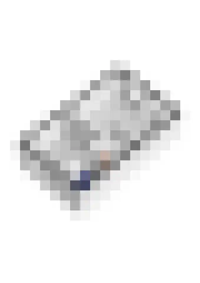 Gerestein 5 Tiel thumbnail 66