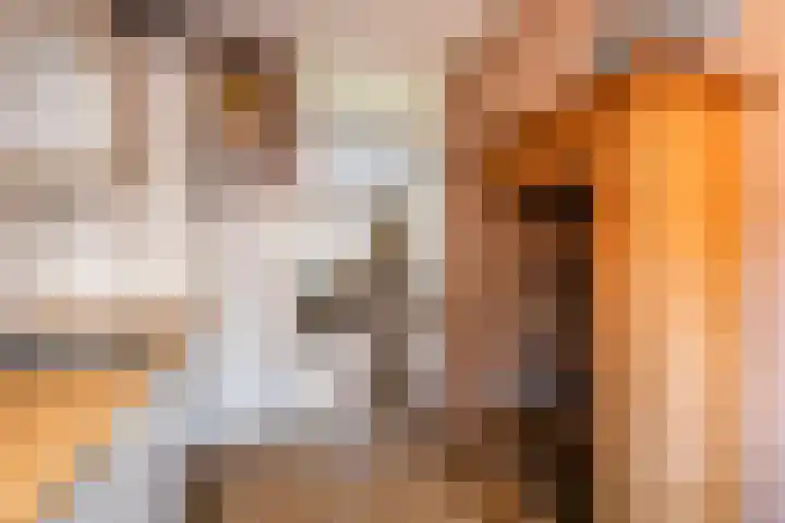 Gerestein 8 Deil thumbnail 10