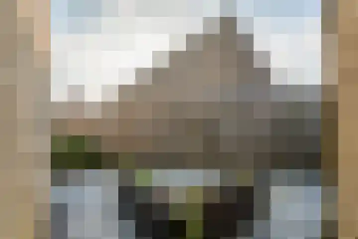 Gerestein 8 Deil thumbnail 23