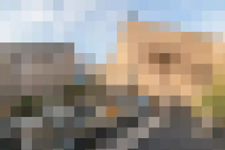 Gerestein 8 Deil thumbnail 25