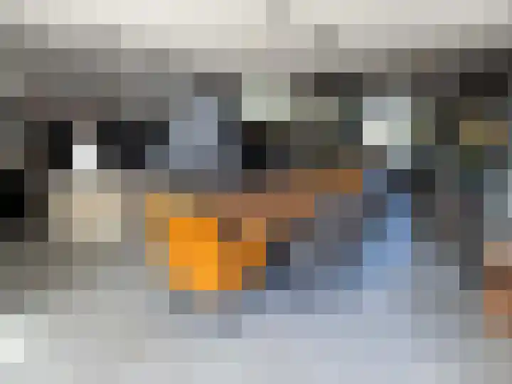 Gerhard Eilanderstraat 11 Coevorden thumbnail 5