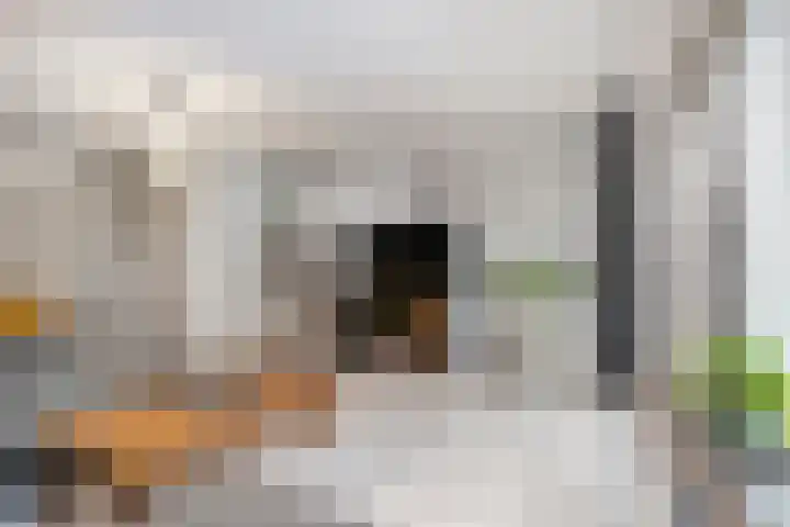 Germanicusweg 4 De Meern thumbnail 8