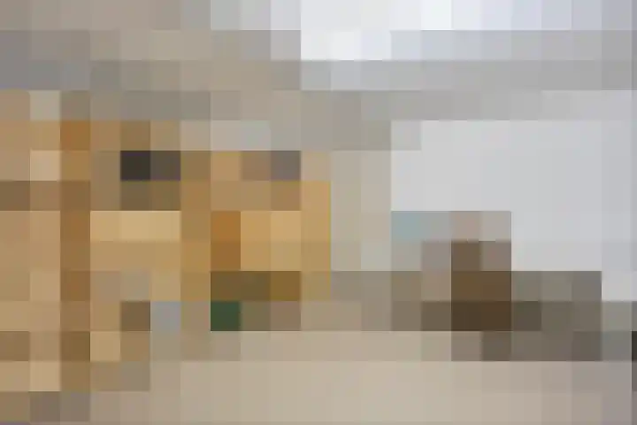 Gerner Es 12 A Dalfsen thumbnail 21