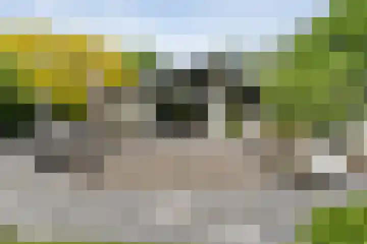 Gerner Es 12 A Dalfsen thumbnail 32