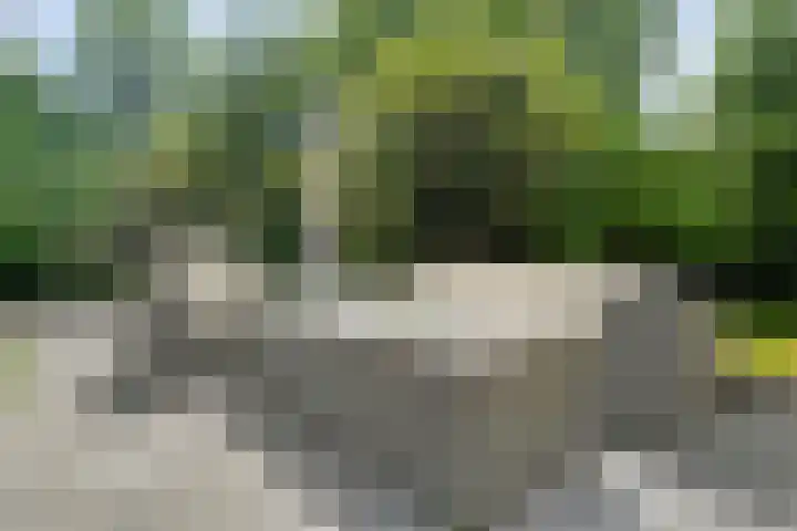 Gerner Es 12 A Dalfsen thumbnail 37