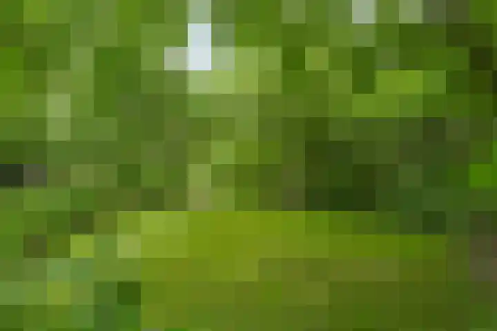 Gerner Es 12 A Dalfsen thumbnail 39