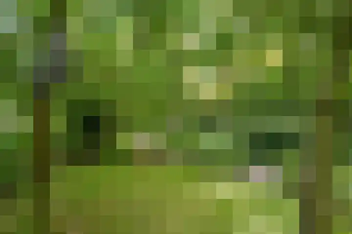 Gerner Es 12 A Dalfsen thumbnail 40