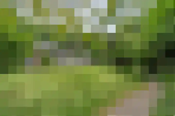 Gerner Es 12 A Dalfsen thumbnail 41