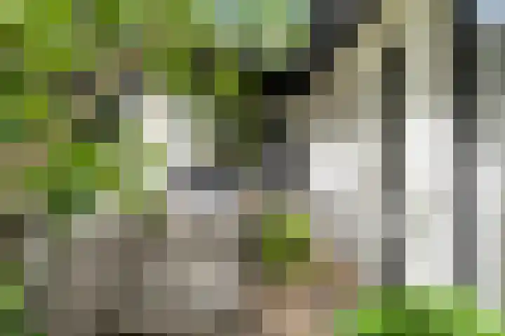 Gerner Es 12 A Dalfsen thumbnail 45