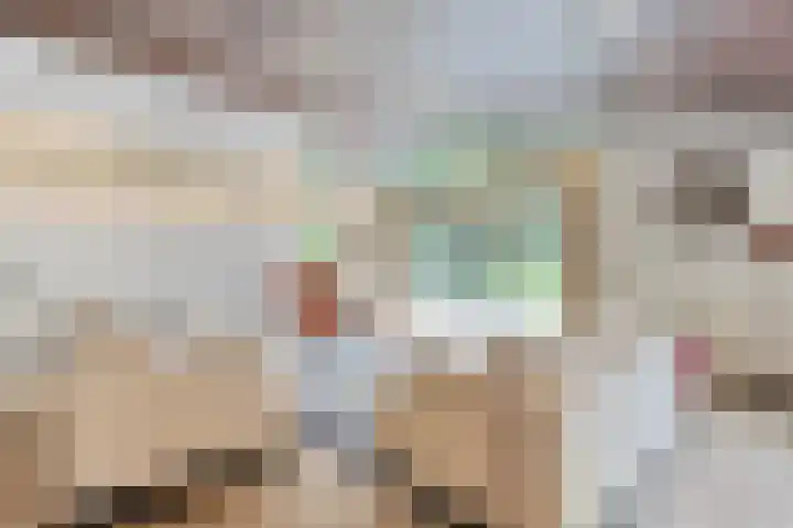 Gerner Es 12 A Dalfsen thumbnail 8