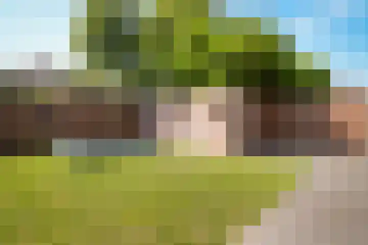 Geronimoplein 12 Veghel thumbnail 21