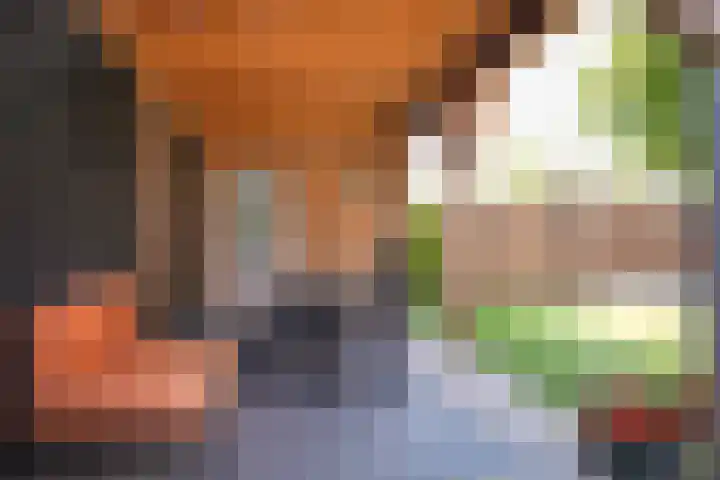 Geronimoplein 12 Veghel thumbnail 23