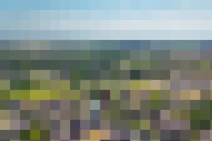 Geronimoplein 12 Veghel thumbnail 32